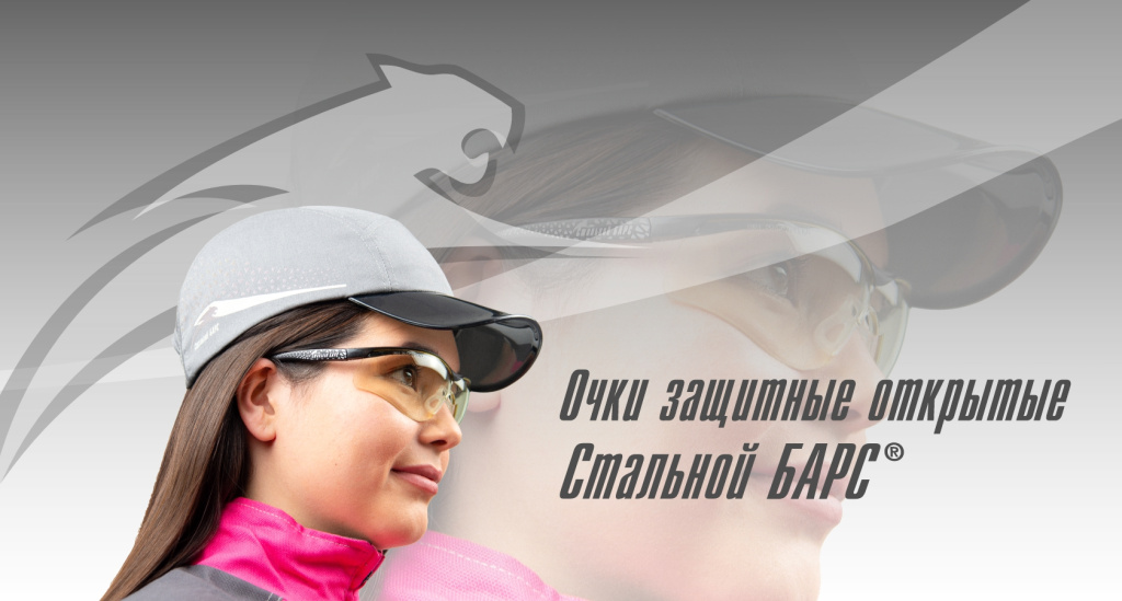 барс.jpg